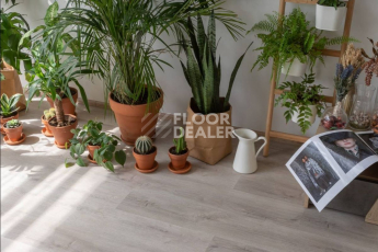 Vinilam Click 3.7мм 20468 Дуб Ален фото 4 | FLOORDEALER